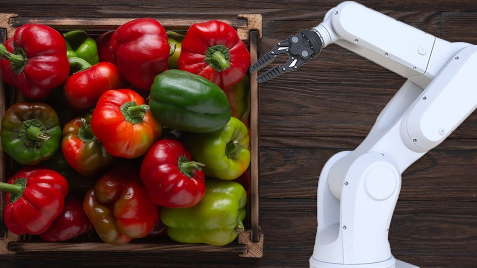 Mit Gemüse verwechselt – Roboter tötet Fabrikarbeiter
