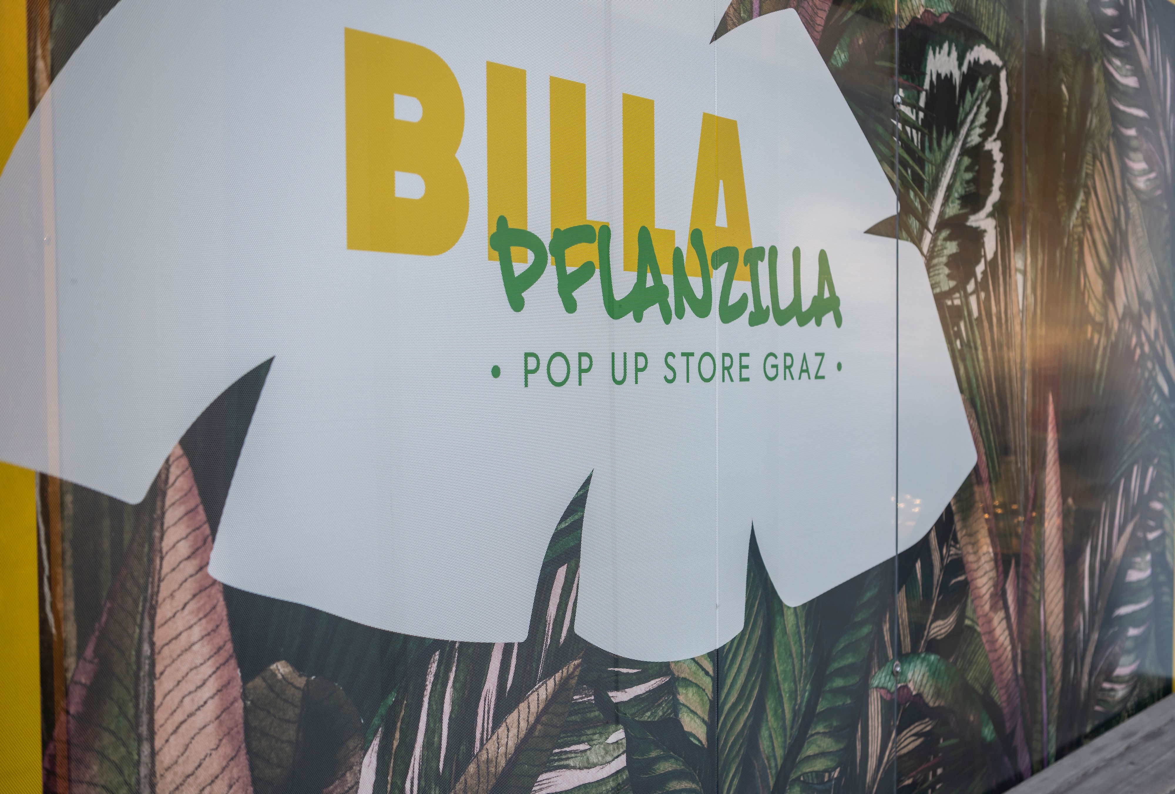Die Erfolgsstory geht weiter: Billa Pflanzilla zieht in die Grazer Innenstadt ein und öffnet am 9. November die Tore zum neuen Pop-up-Store am Joanneumring 16.