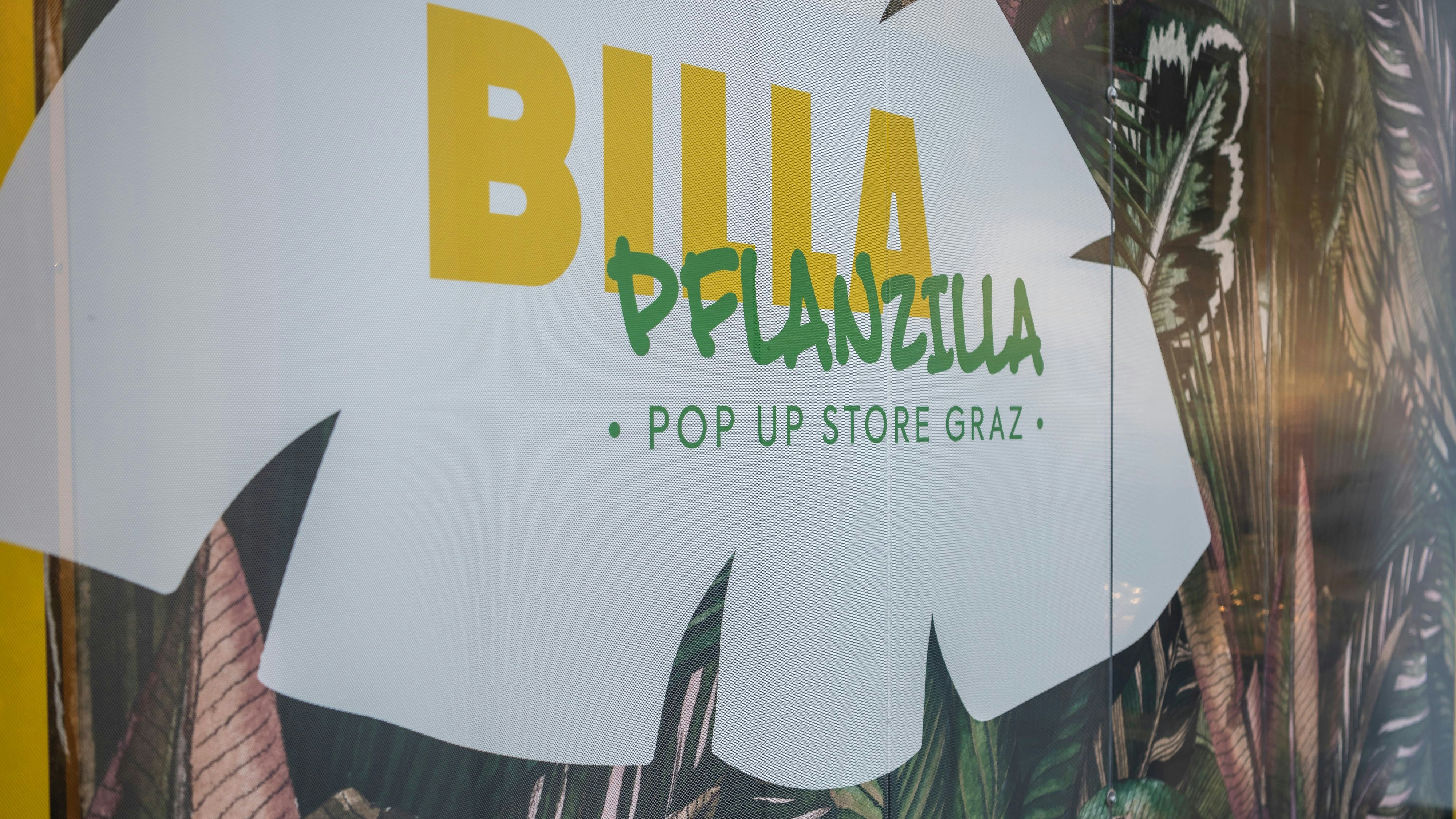 Die Erfolgsstory geht weiter: Billa Pflanzilla zieht in die Grazer Innenstadt ein und öffnet am 9. November die Tore zum neuen Pop-up-Store am Joanneumring 16. 