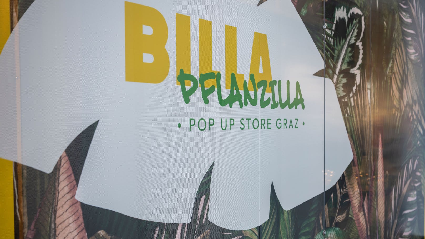 "Pflanzilla"! Veganer Billa-Markt startet jetzt in Graz