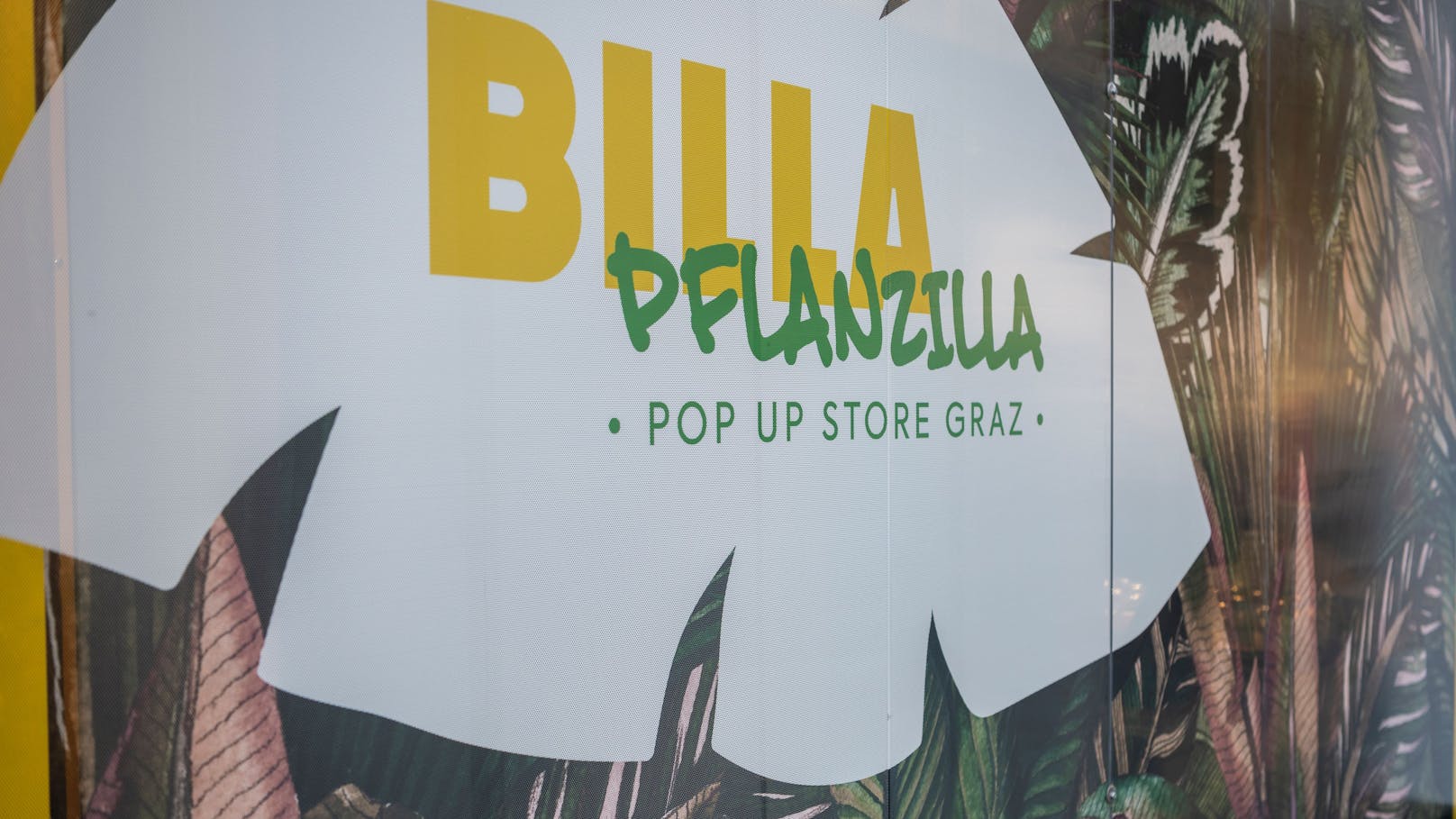 "Pflanzilla"! Veganer Billa-Markt startet jetzt in Graz