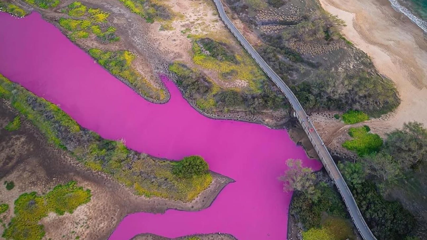 Wasser plötzlich pink – doch keiner weiß warum