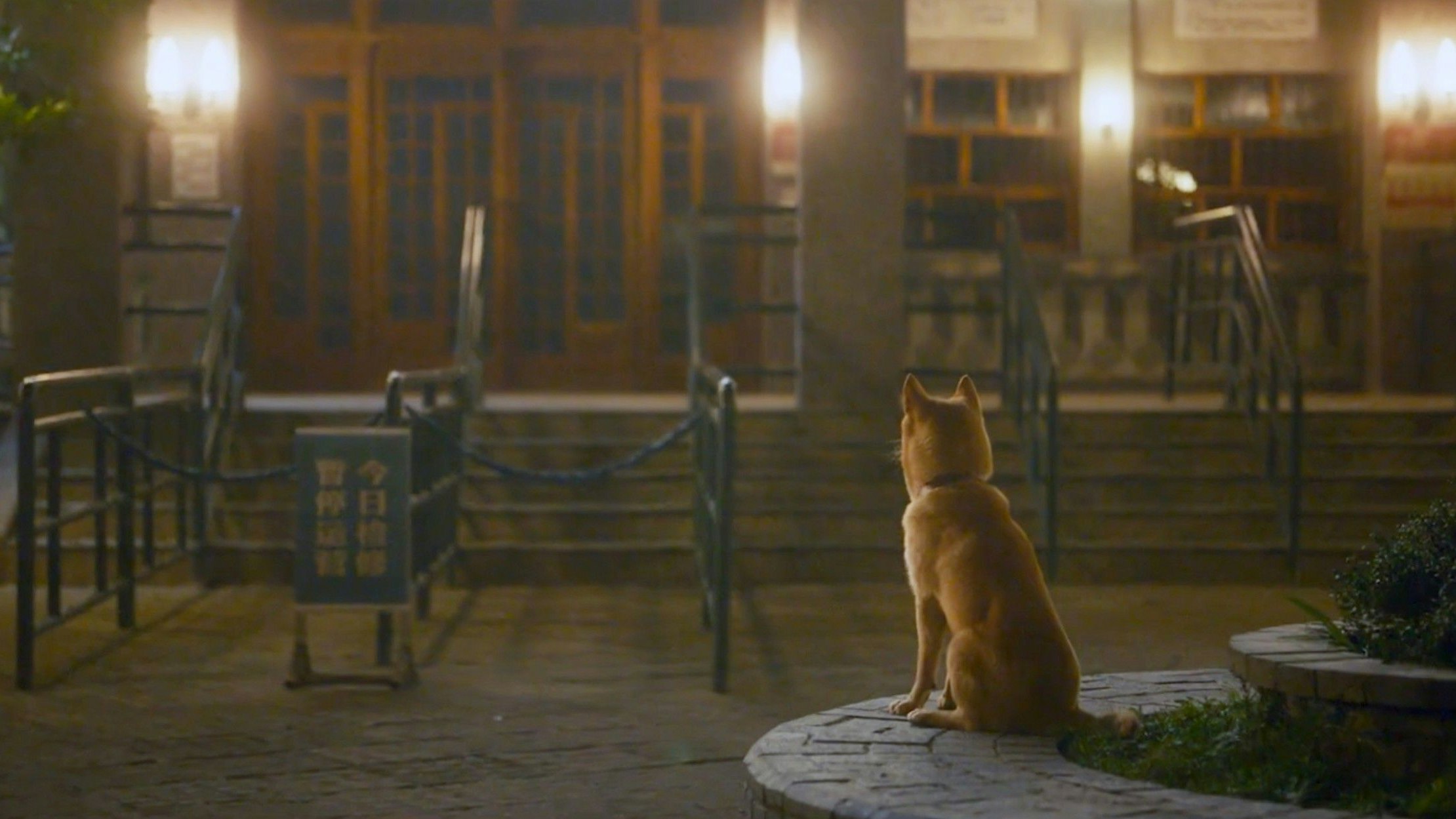 Der Akita Inu Rüde "Hachiko" wartete jeden Tag auf sein bereits verstorbenes Herrchen am Bahnhof. 