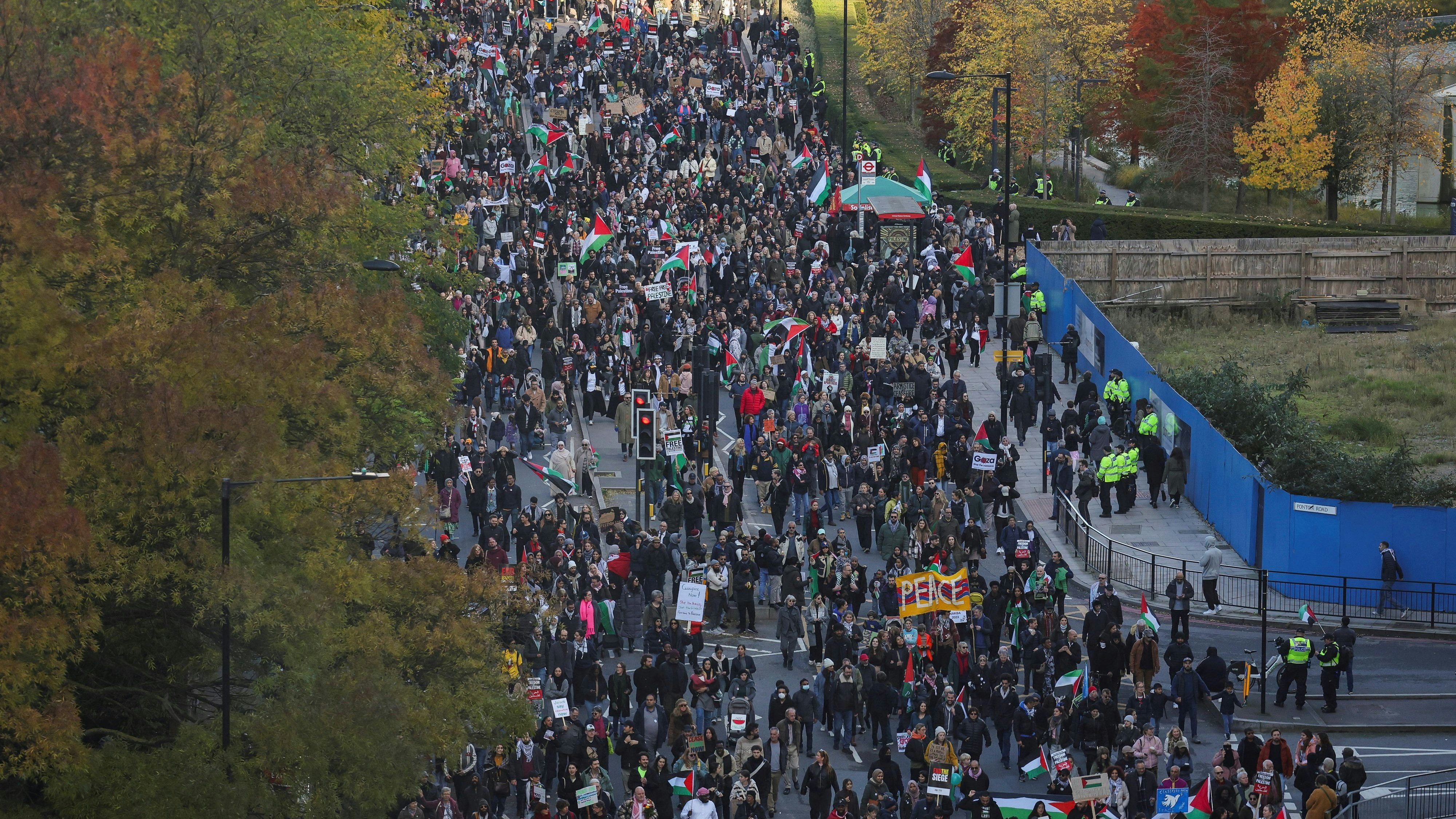 Demonstrators protest in solidarity with Palestinians in Gaza, amid the ongoing conflict between Israel and the Palestinian Islamist group Hamas, in London, Britain, November 11, 2023. REUTERS/Hannah McKay