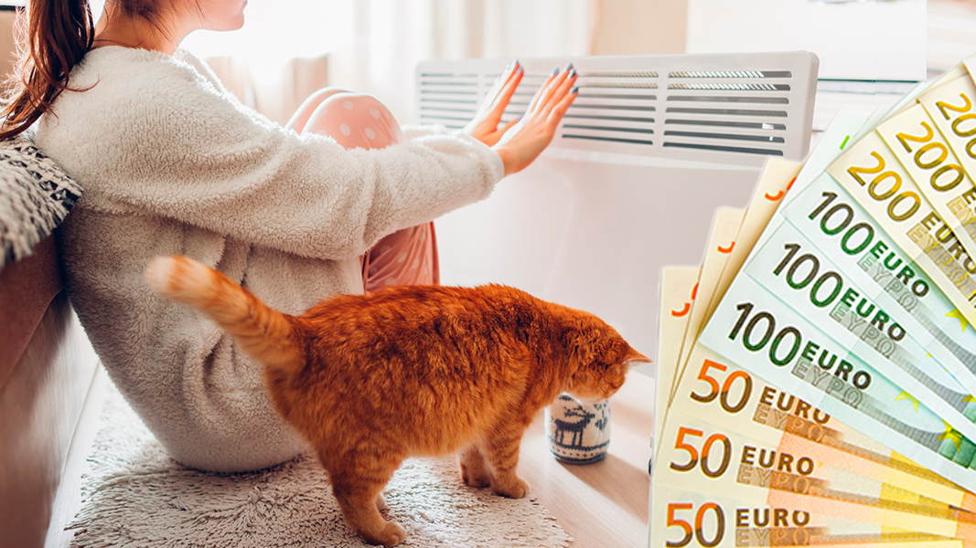 Bonus, Katze, Geld, Heizung