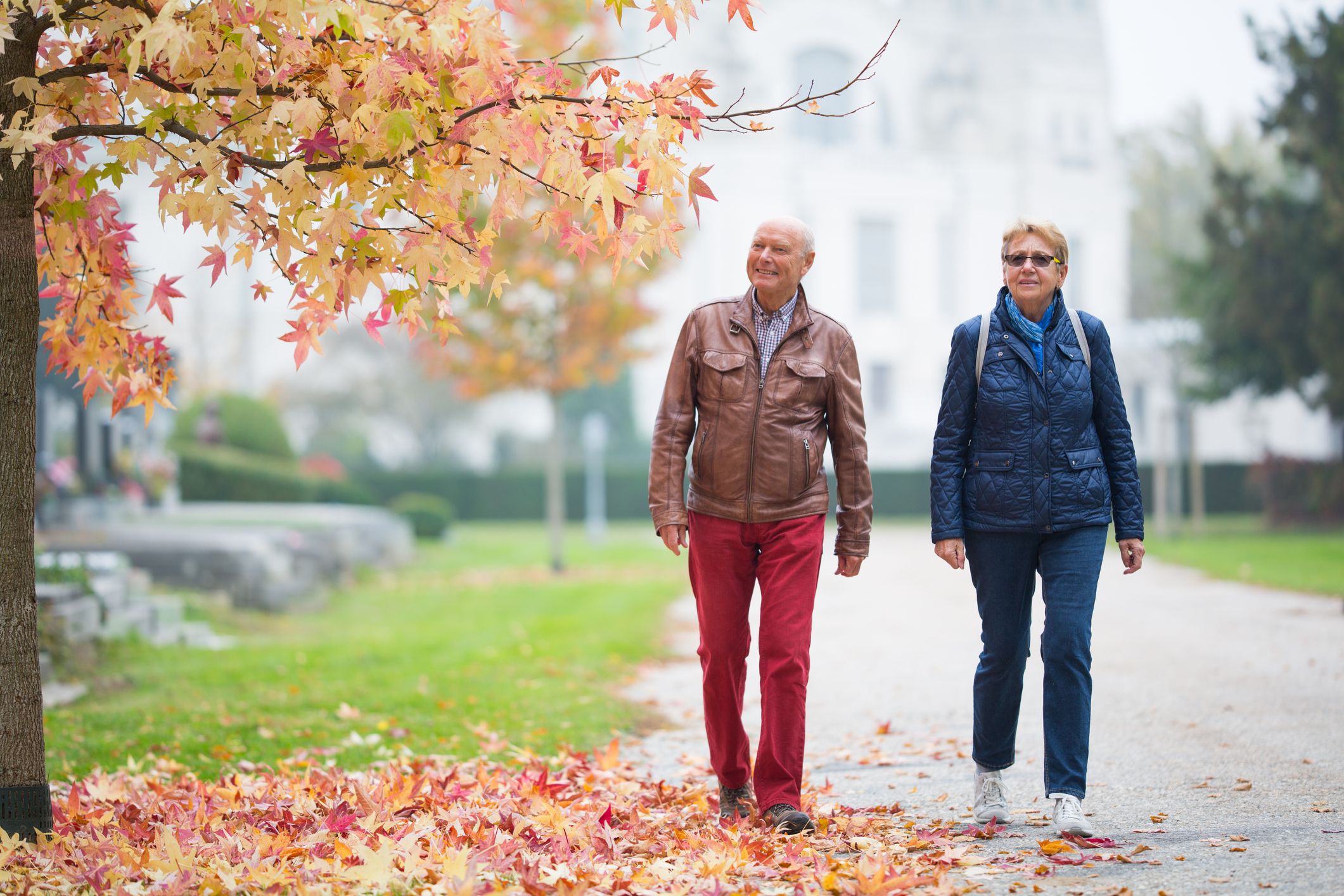 Wegen der späten Verfärbung drohen dieses Jahr Gefahren im Wald und in Parks. (Symbolbild)