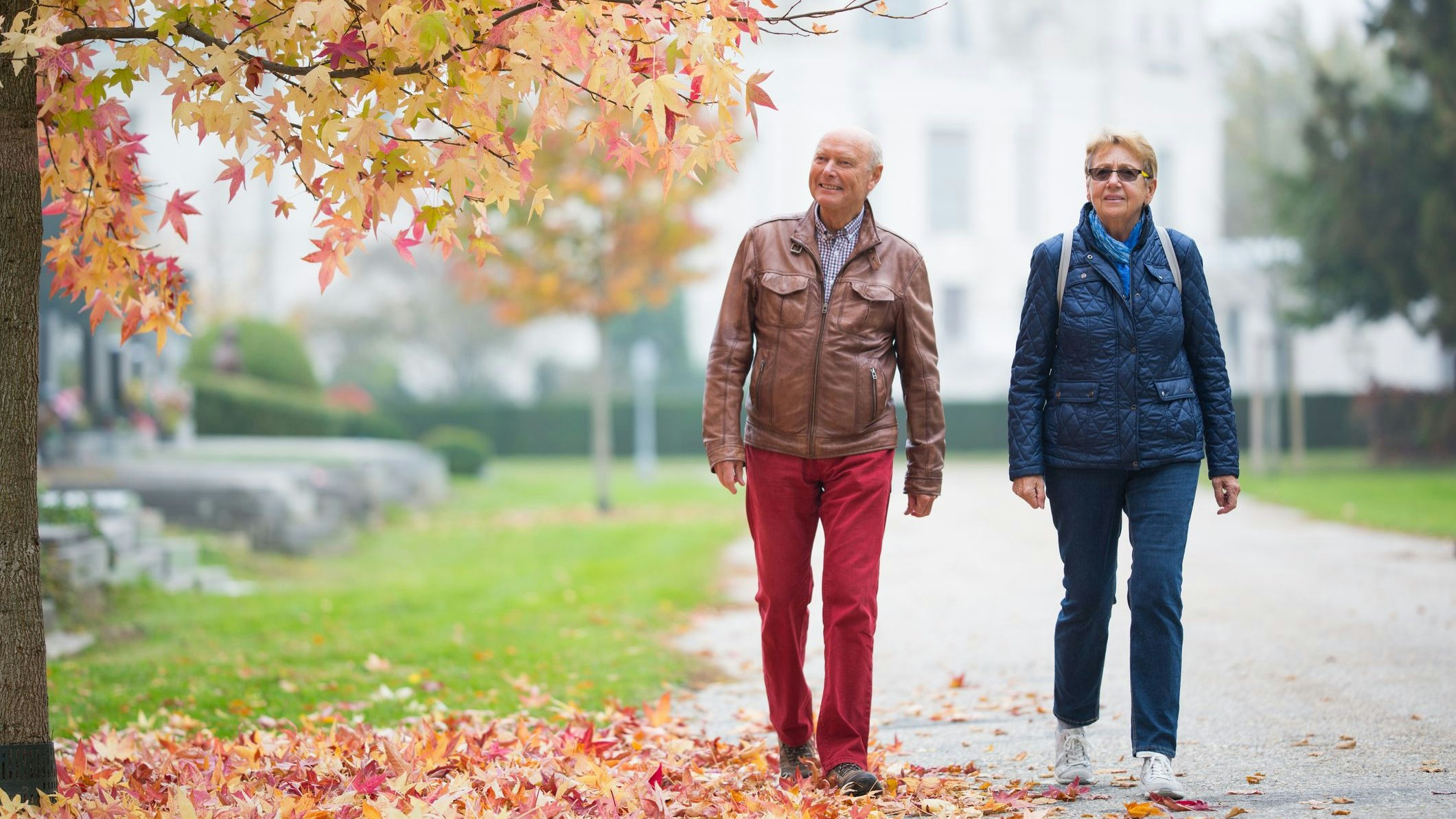 Wegen der ungewöhnlich späten Verfärbung drohen dieses Jahr Gefahren im Wald und in Parks. (Symbolbild)