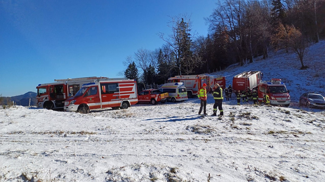 Heute.at - Mann bei Forstarbeiten unter Baum eingeklemmt - tot