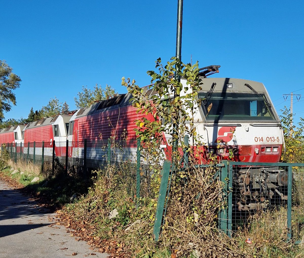 Geisterloks stehen direkt vor Schrebergarten an der Wiener Stadtgrenze. 