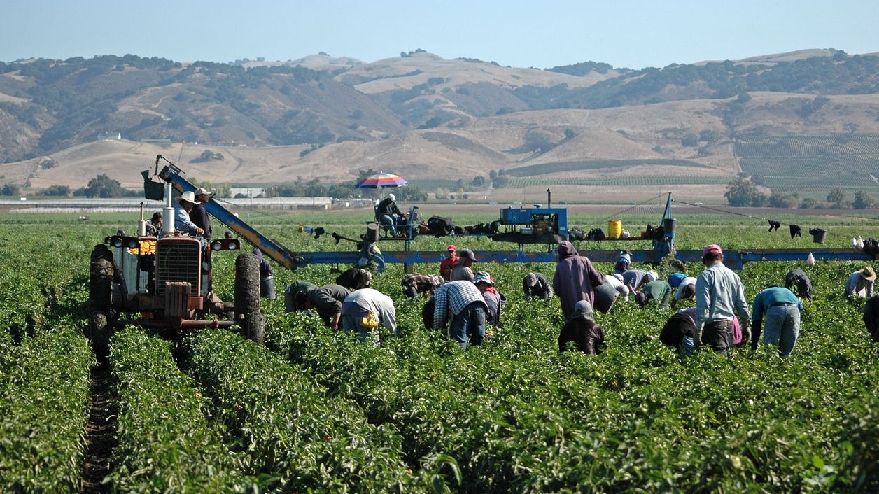 Wegen fehlender Arbeitskräfte wurden in sechs von 50 US-Bundesstaaten die Regelungen betreffend Kinderarbeit gelockert.