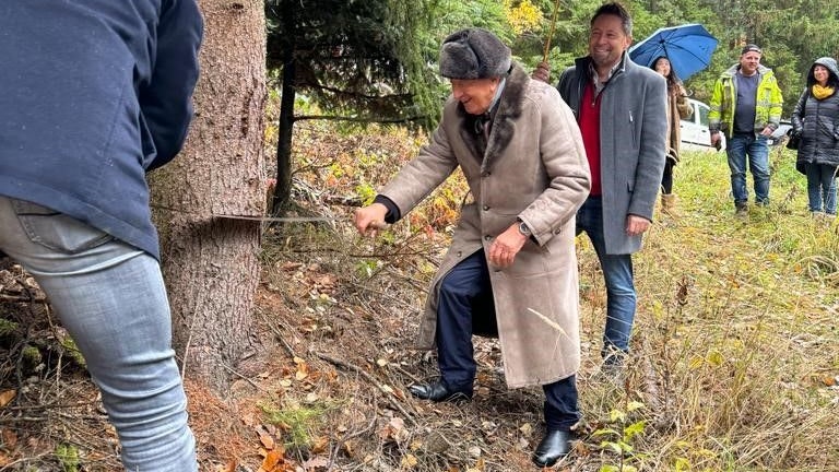 Richard Lugner legte selbst Hand an und sägte mit ein bisschen Hilfe von Johann Gudenus seinen Christbaum für die Lugner City.