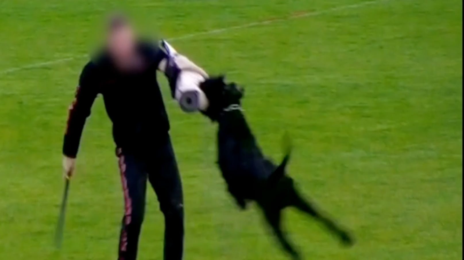 Hunde-WM: Veranstalter will nun Tierschützer verklagen