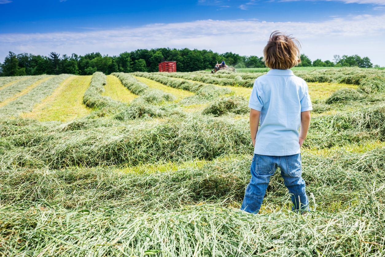 Wegen fehlender Arbeitskräfte wurden in sechs von 50 US-Bundesstaaten die Regelungen betreffend Kinderarbeit gelockert. (Symbolbild)