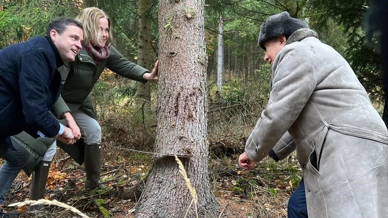 Richard Lugner sägte mit Johann Gudenus den Baum an. "Joschis Mama war auch dabei", erzählt der Baumeister.