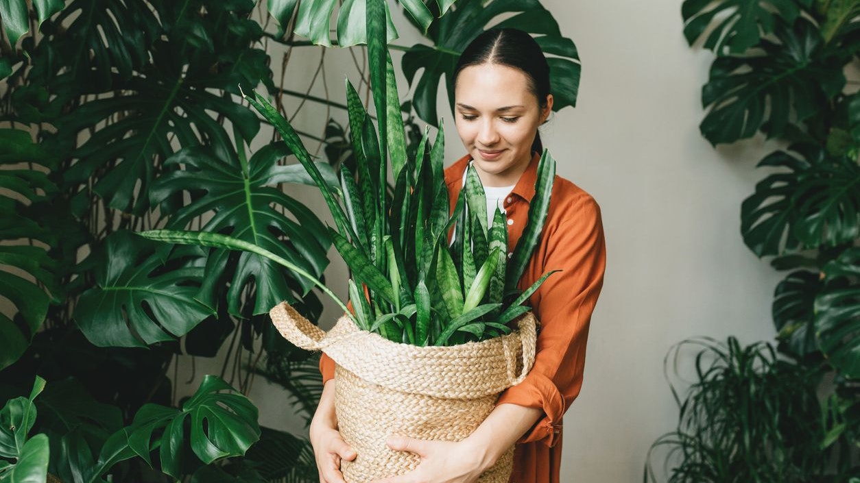 A young woman holds a jute pot with a green plant in her hands. The concept of eco-friendly housing and minimalism, gardening in urban conditions