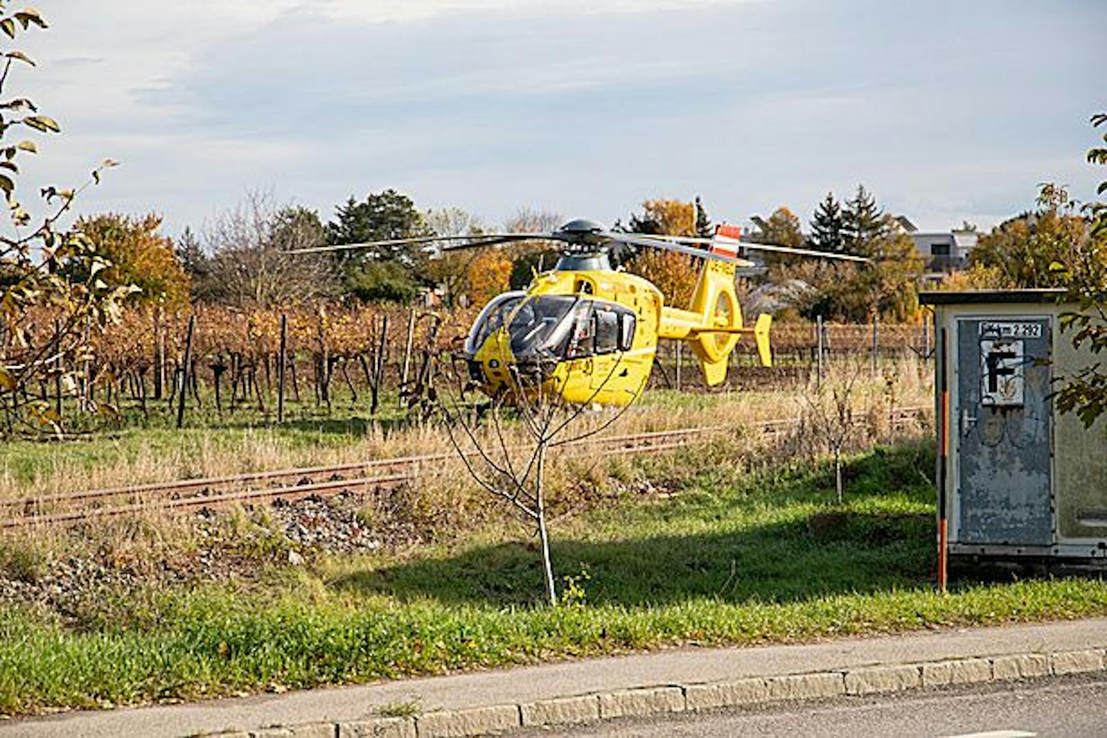 Zwei der verletzten Arbeiter wurden per Hubschrauber, der dritte mittels Rettungswagen in Spitäler transportiert.