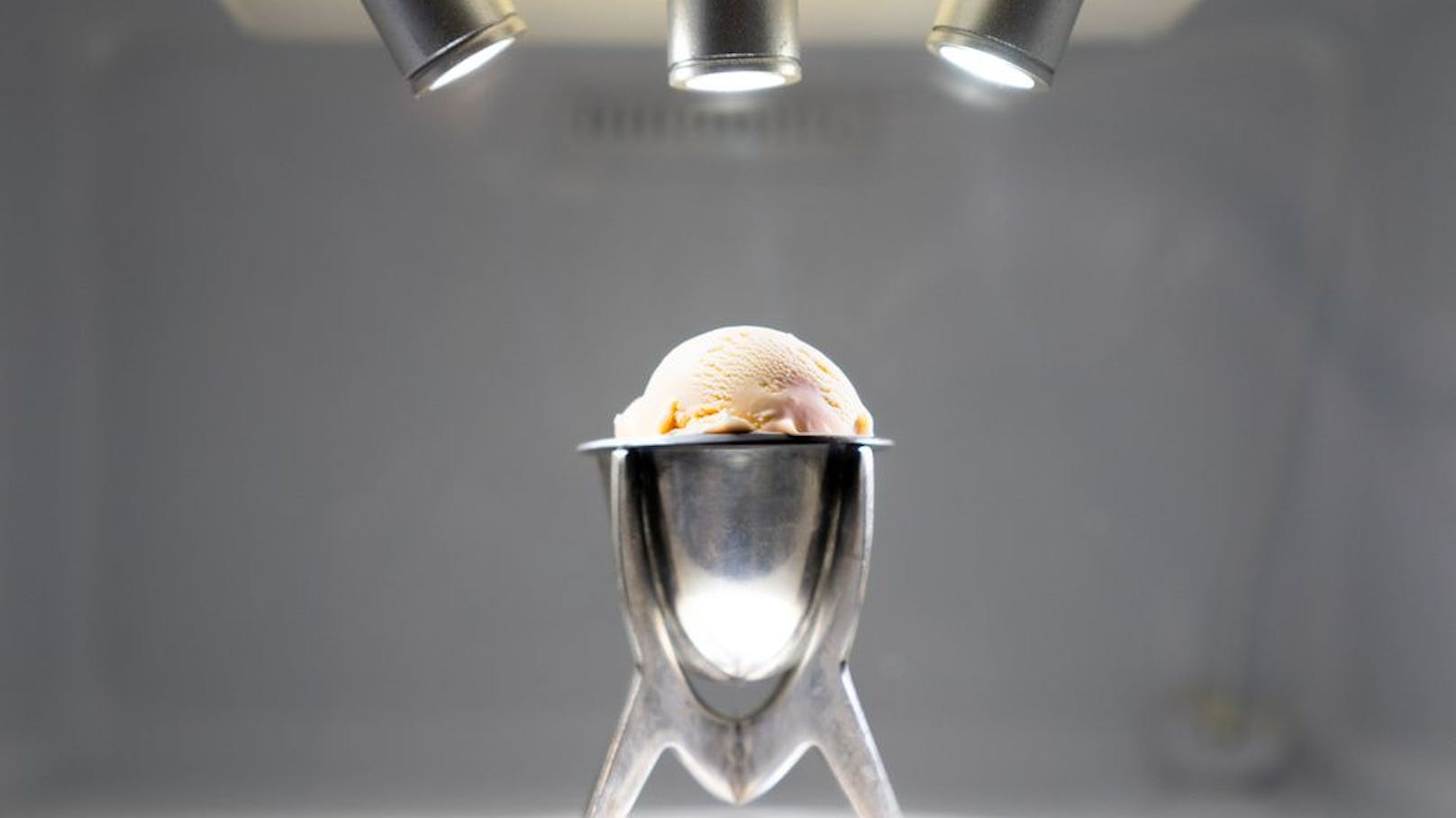 Ortolani präsentierte das Eis in einem verschlossenen Kühlschrank auf der CSM-Absolventenausstellung (Bild).