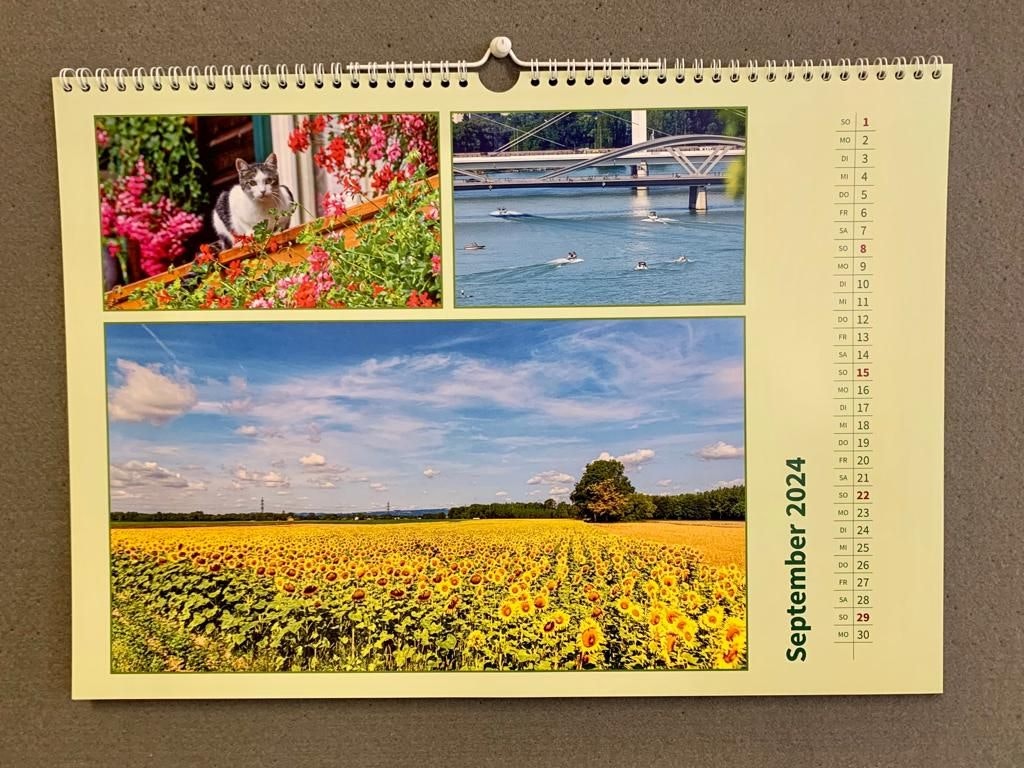 Bunt und vielfältig zeigt sich der Monat September im Kalender von Mike Wolf.