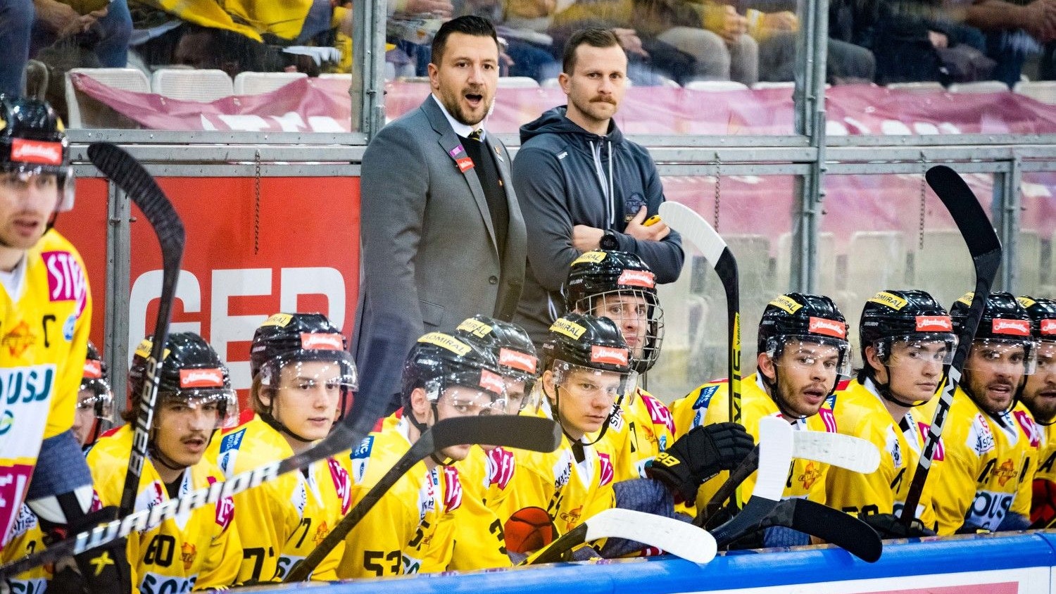 Christian Dolezal bleibt vorerst Caps-Trainer.