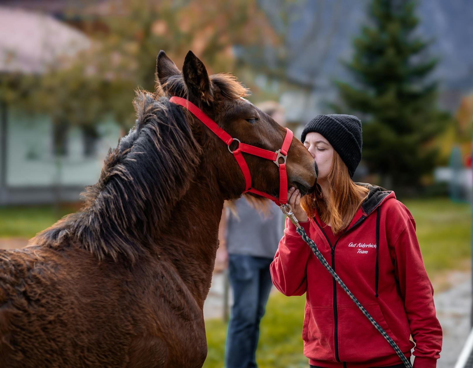 Das Fohlen "Zafar" ist auf Busslkurs mit Tierpflegerin Lisa. 