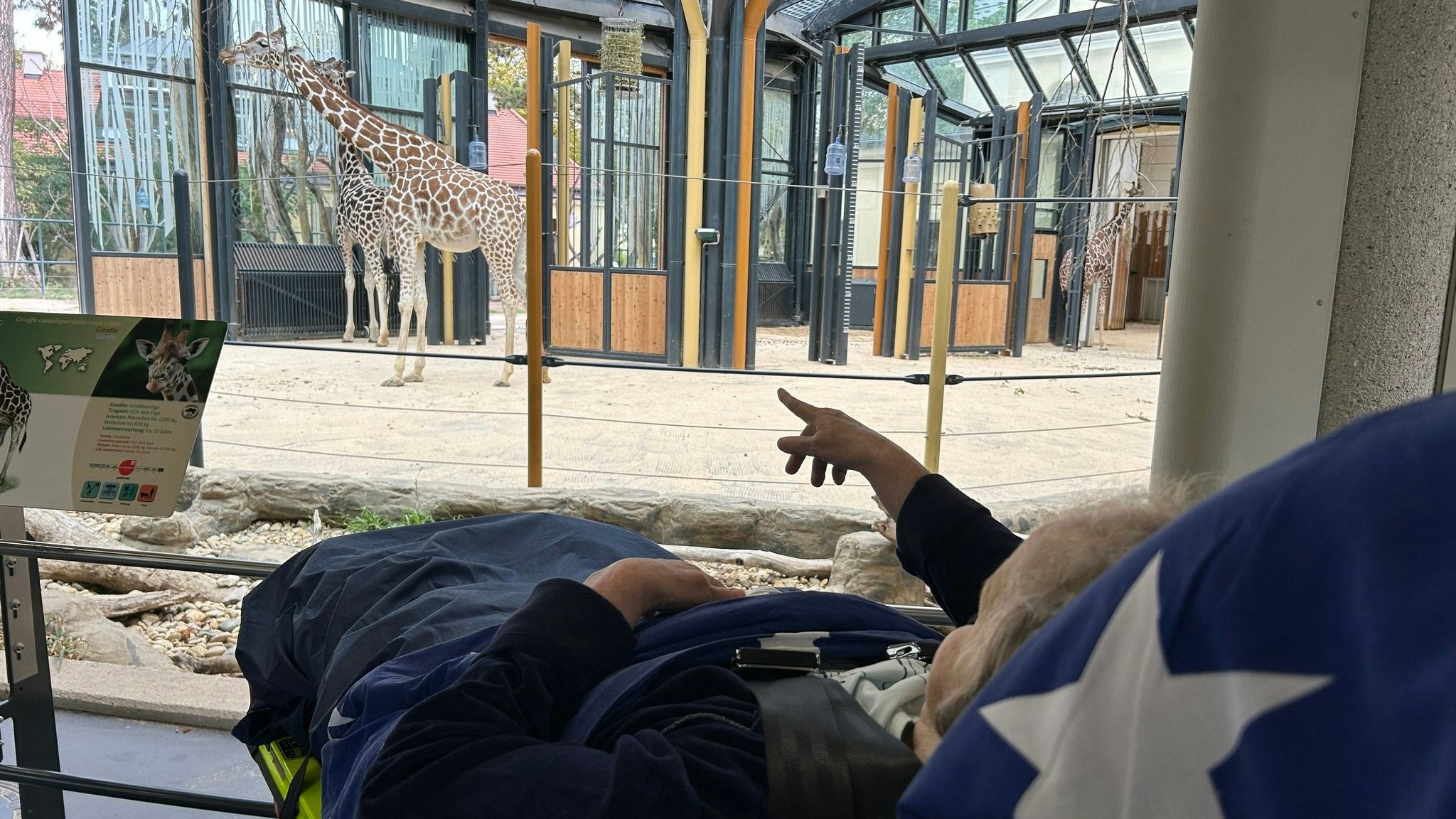 Die 83-Jährige durfte die Langhälse im Tiergarten Schönbrunn bewundern.