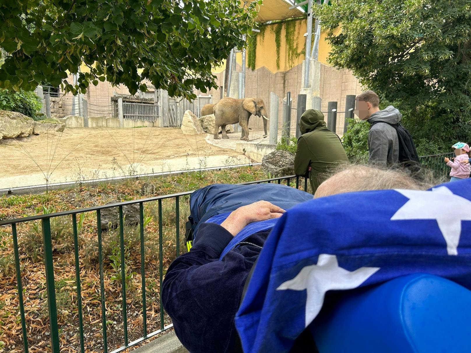 Auch viele andere spannende Zoo-Bewohner gab es zu sehen.