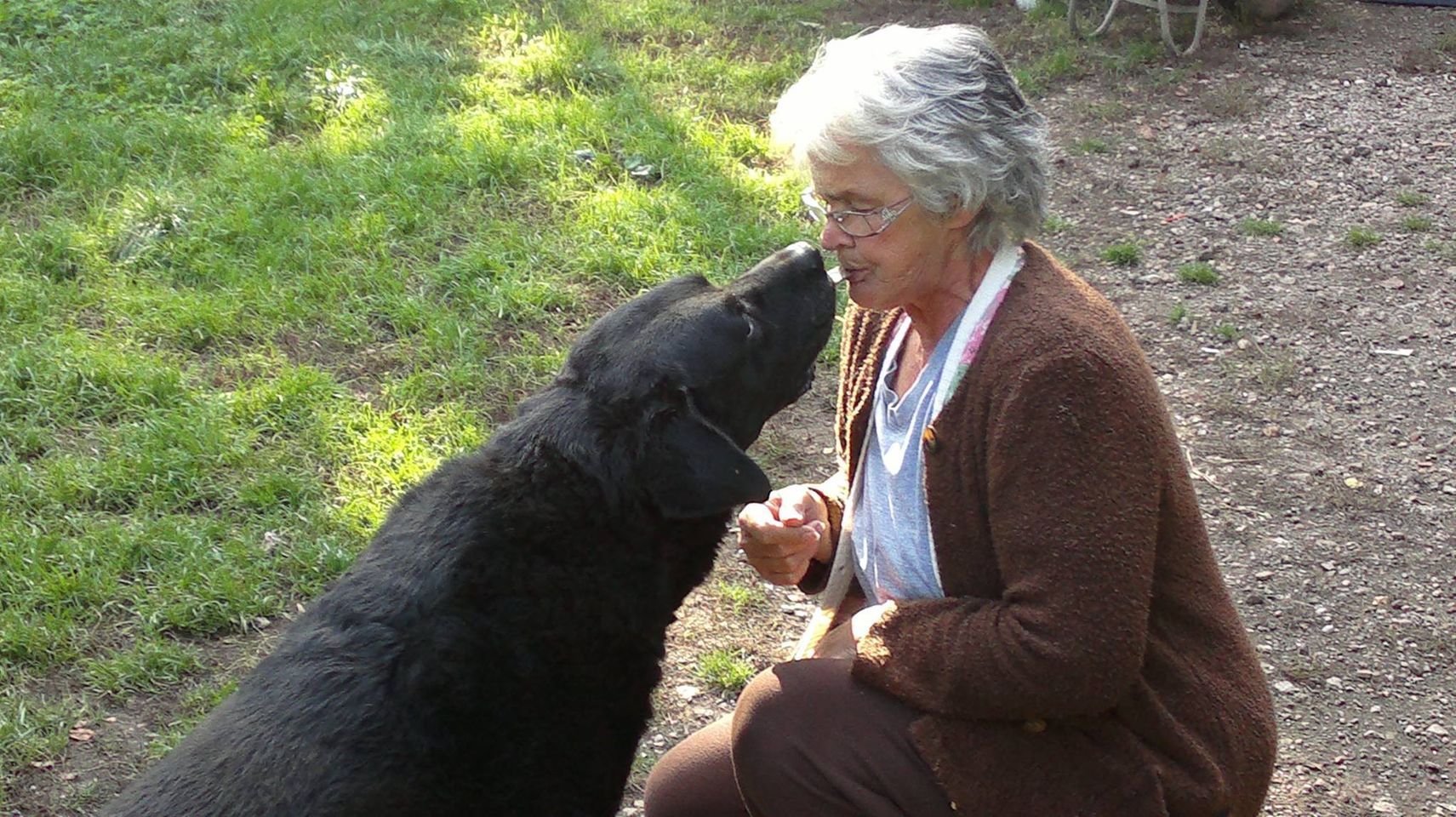 Marianne Friesenegger versorgt auf einem privaten Grundstück rund 80 Tiere.