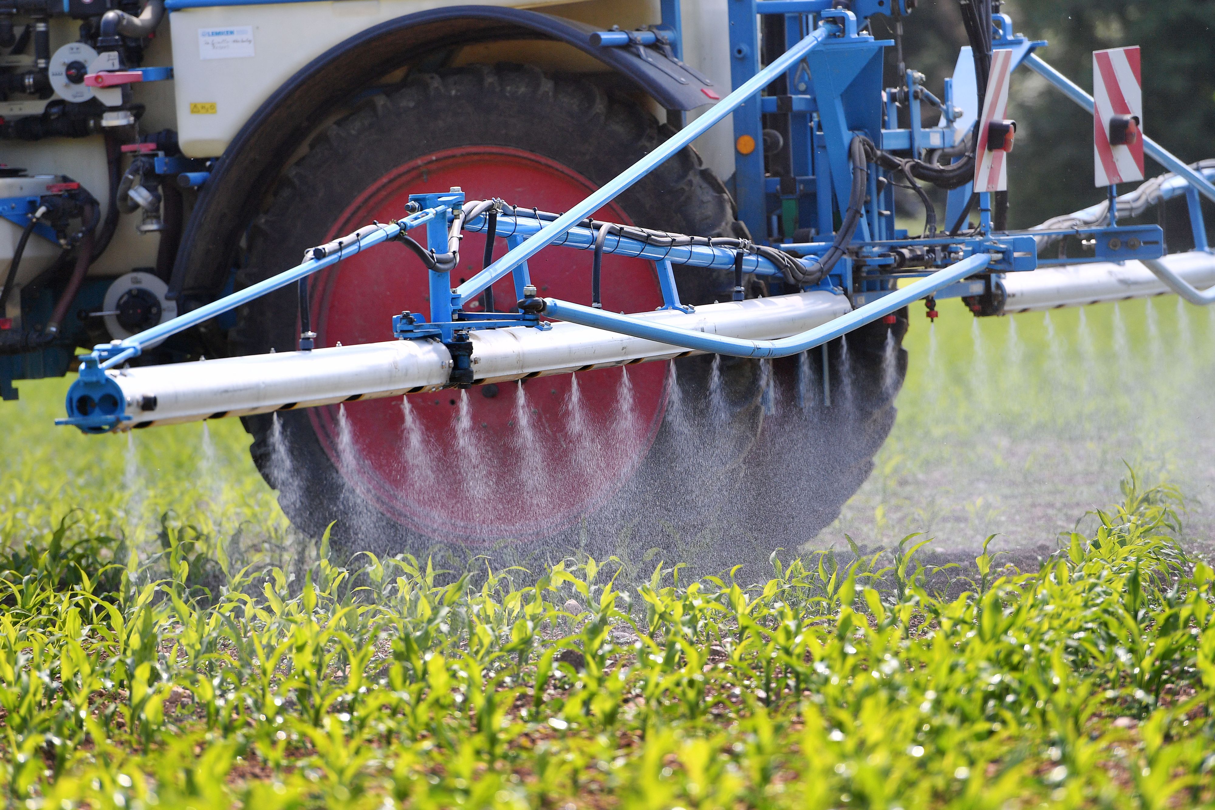 Das Unkrautvernichtungsmittel Glyphosat steht seit Jahren im Verdacht, krebserregend zu sein.
