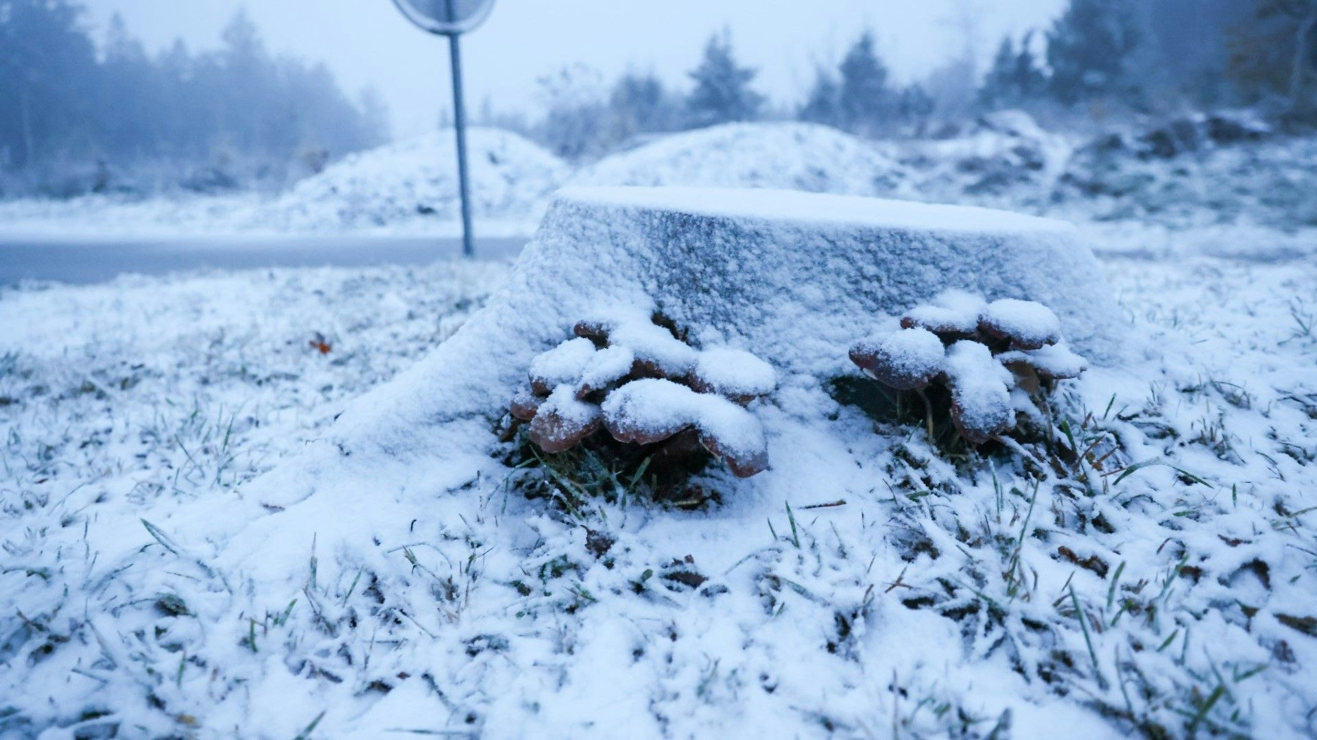 In Oberösterreich schneite es in der Früh schon kräftig.