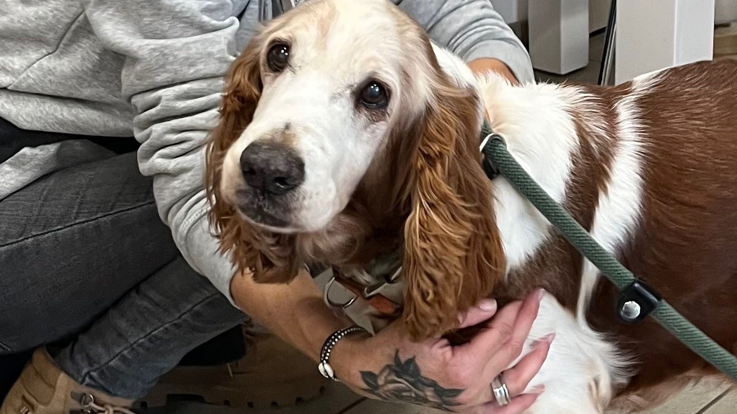 Die 14-jährige "Fanny" sucht eine neue Familie.