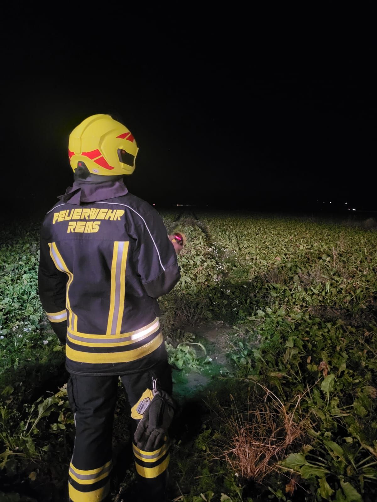 Die Feuerwehr suchte bei Dunkelheit, ein Stier hatte sich an einem abgeschiedenen Ort versteckt.