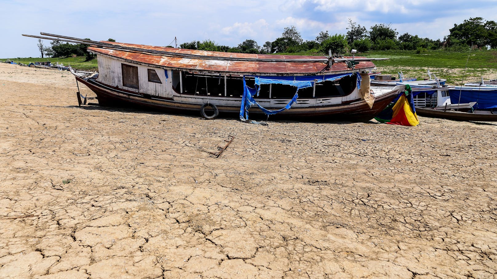Klimakrise lässt Amazonas-Gebiet verdursten