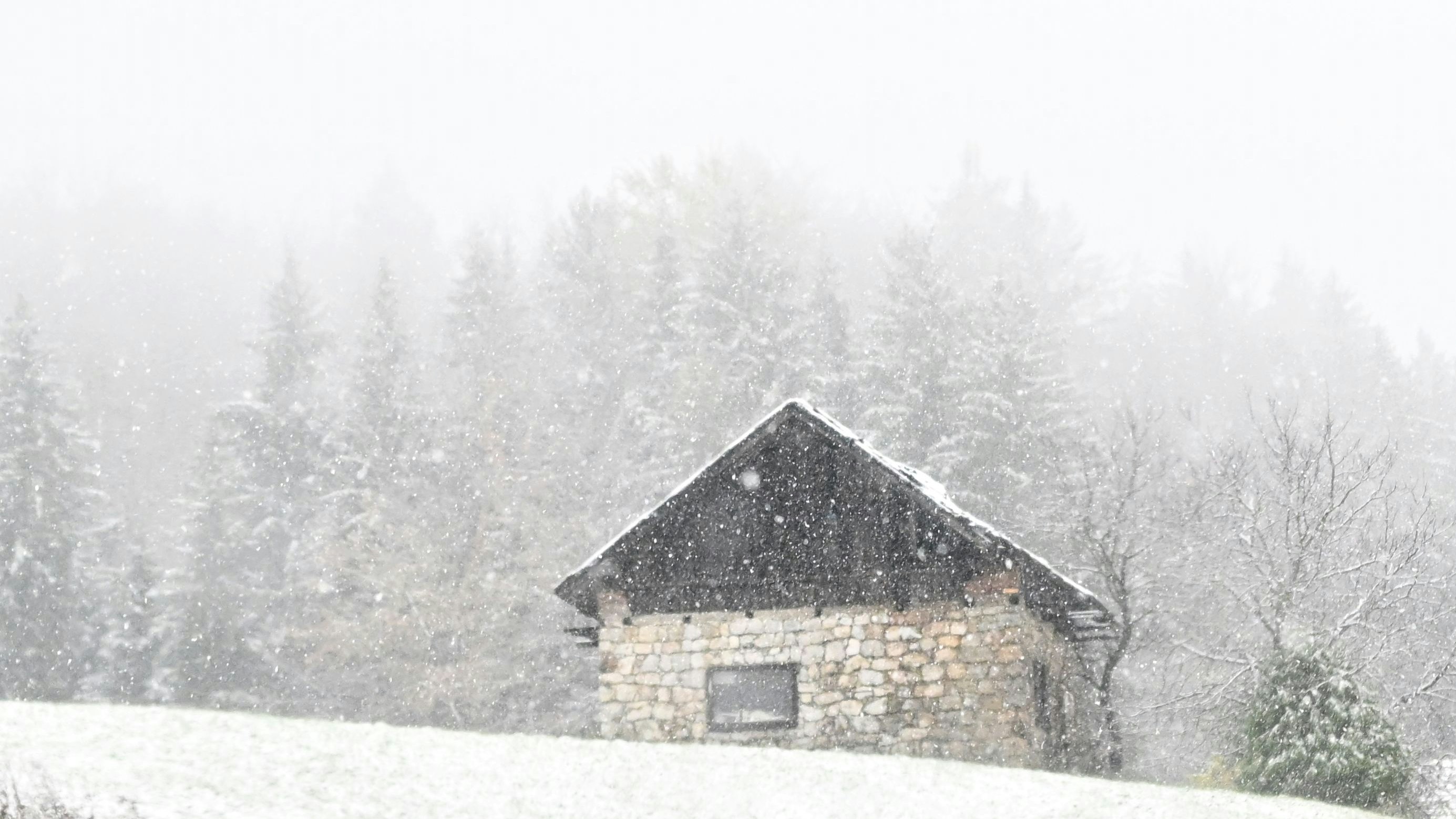 Teile des Landes haben ihren ersten Wintereinbruch bereits hinter sich, wie diese Aufnahme aus aus Hinterwinkl bei Salzburg vom 17.11.2023 beweist. 