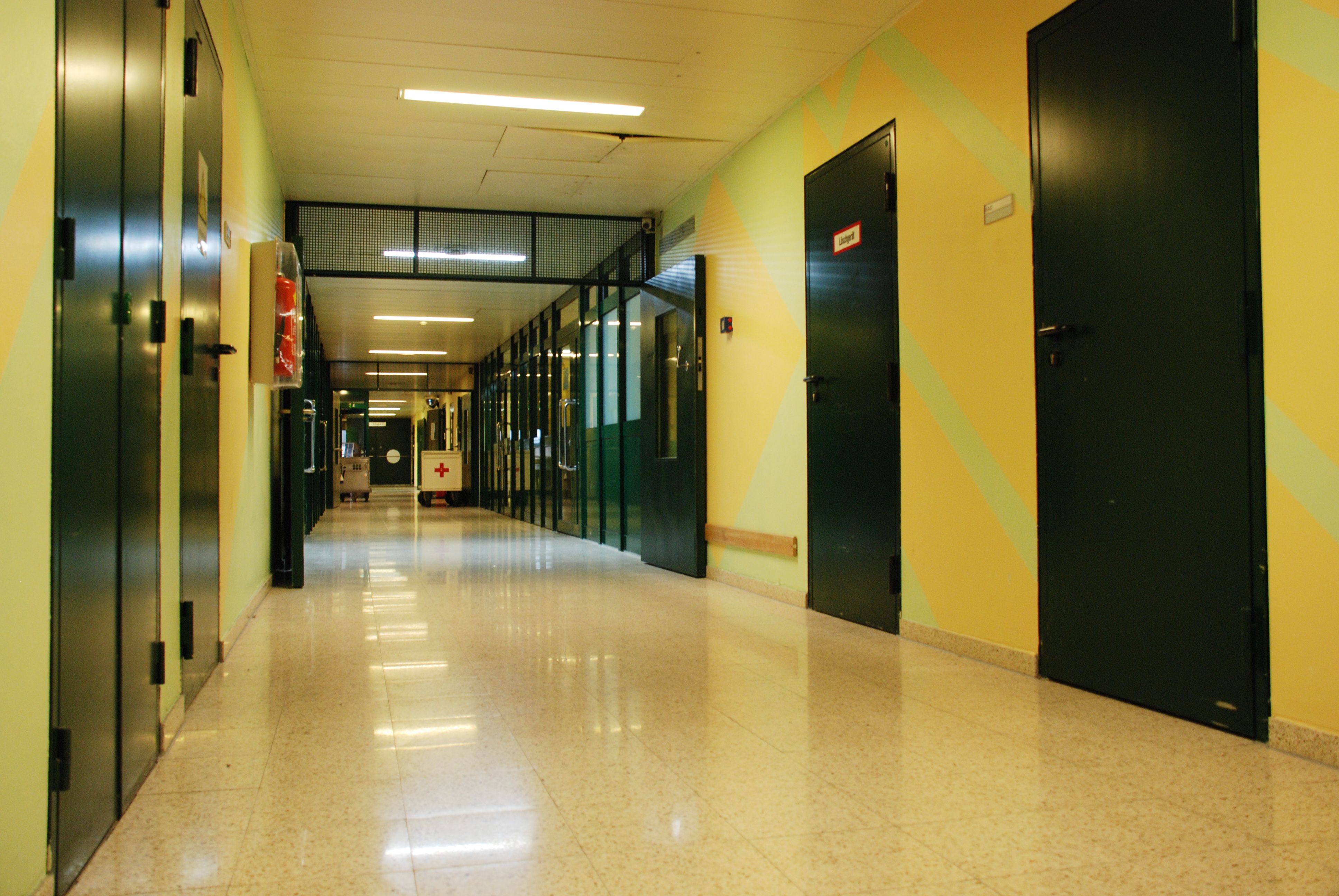 Der Insasse war auf der gesperrten Abteilung der Bahmherzigen Brüder - einer Außenstelle der JA Josefstadt.