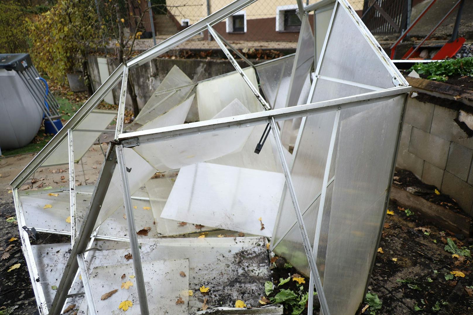 Der Drogenlenker krachte in das Glashaus, das dadurch total zerstört wurde.