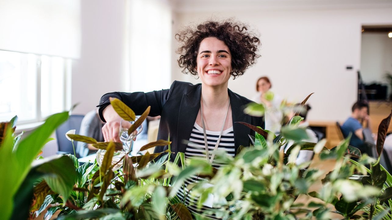 A young woman watering plants in office, start-up business.