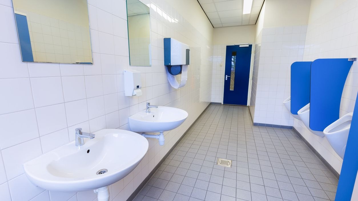 In Zukunft gibt es weder Papierhandtücher noch Toilettenpapier. (Symbolbild)