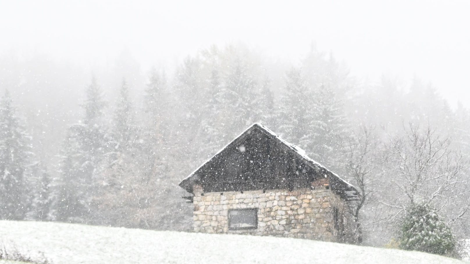 Winter-Walze überrollt Österreich mit bis zu 1 m Schnee