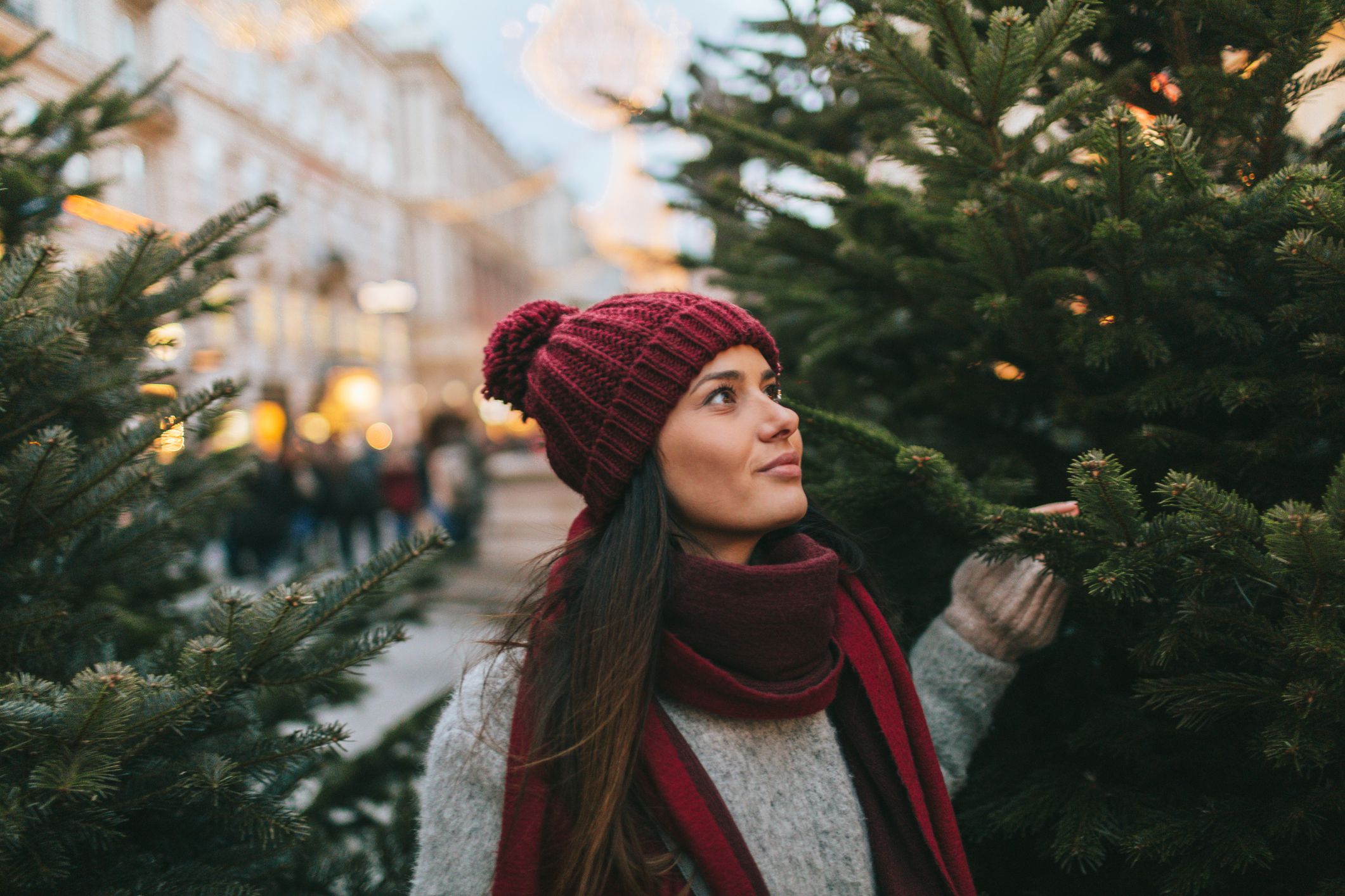 Mariandjosef: Jetzt bedroht die Klimakrise auch noch unsere Christbäume.
