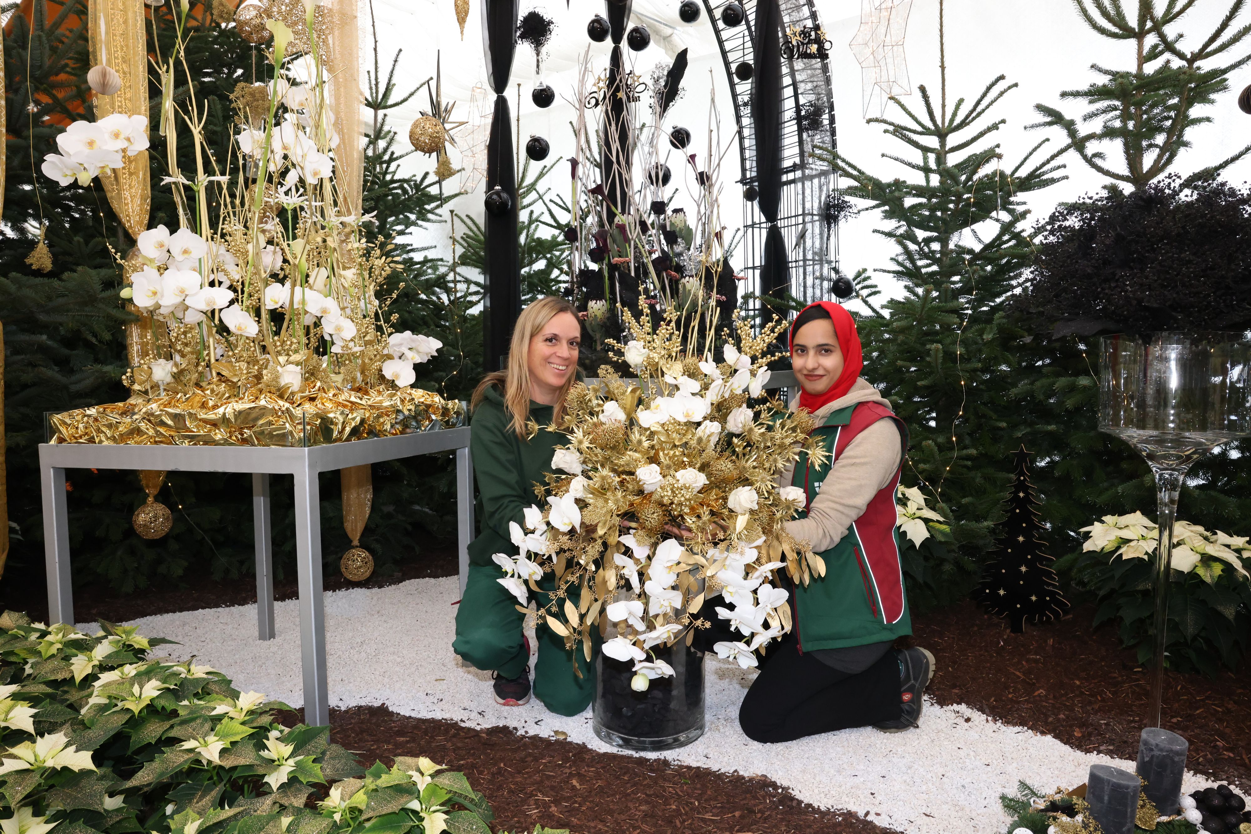 Die Blumengärten Hirschstetten laden heuer schon zum 20. Mal zur Weihnachtsausstellung . 