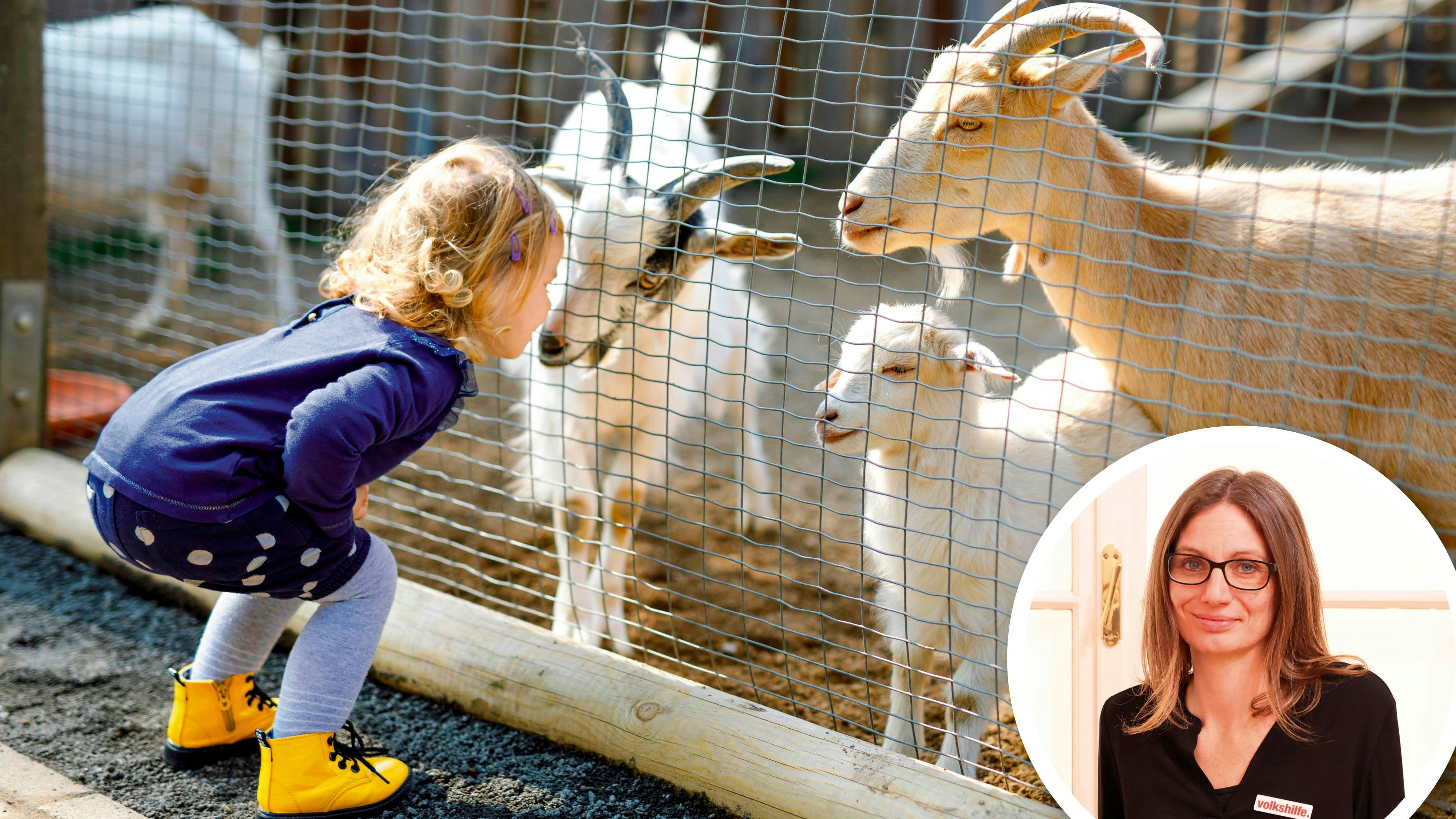 Das letzte Highlight des Alltags – eine Karte für den Zoo – ist für eine junge Mama nicht mehr leistbar. Sozialarbeiterin Nadine Bliem (kl. Foto) erzählt ihre Geschichte.