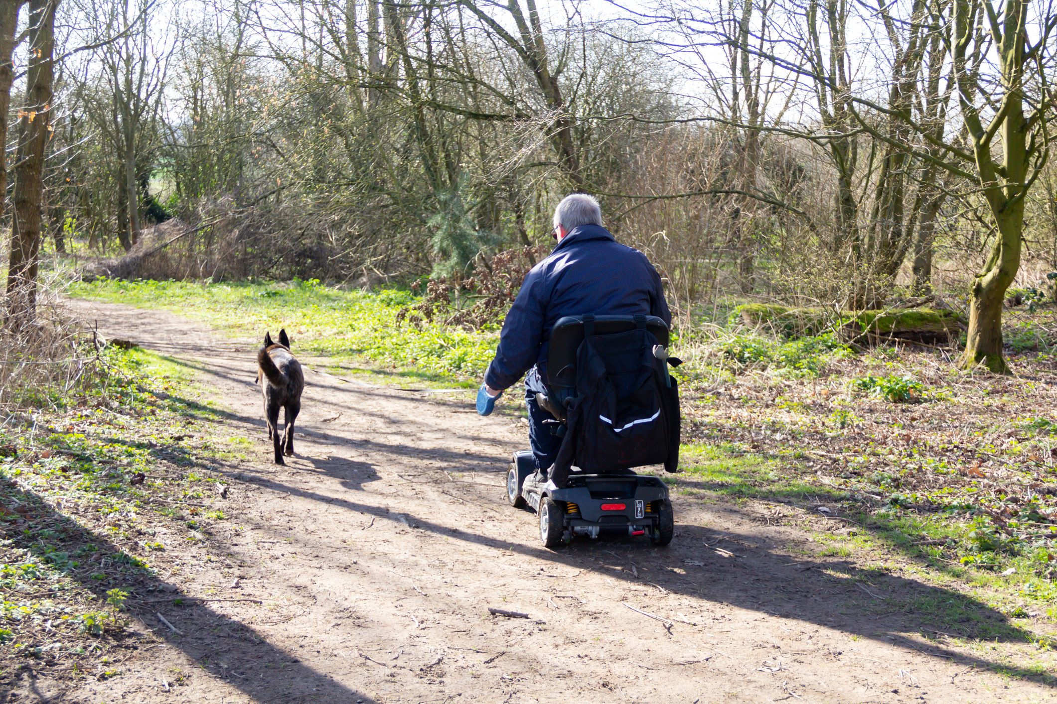 Beide Männer waren mit ihren Hunden unterwegs. (Symbolbild)