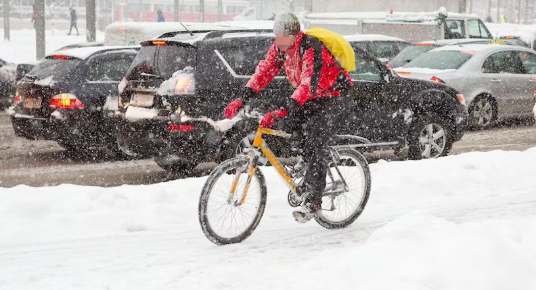 Eine SPÖ-Gemeinderätin ließ in einem Interview ihrer Wut auf Radfahrer freien Lauf.