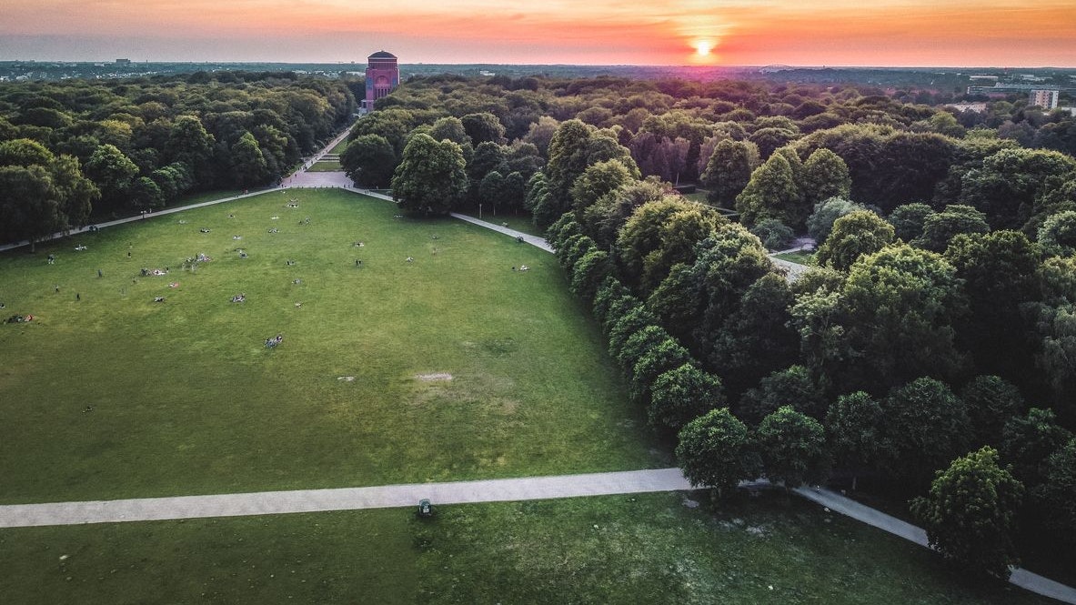 Tatort waren die Gebüsche im Stadtpark Hamburgs. 