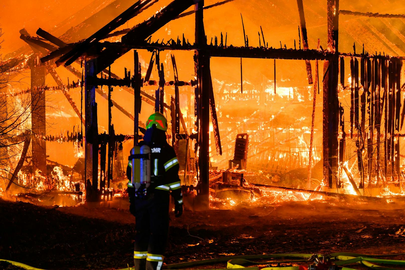 Elf Feuerwehren stehen zur Stunde bei einem Großbrand eines Stalls in Kematen an der Krems (Bezirk Linz-Land) im Einsatz. Im Stall befanden sich etwa 80 Stiere, ein Teil konnte ins Freie gebracht werden.