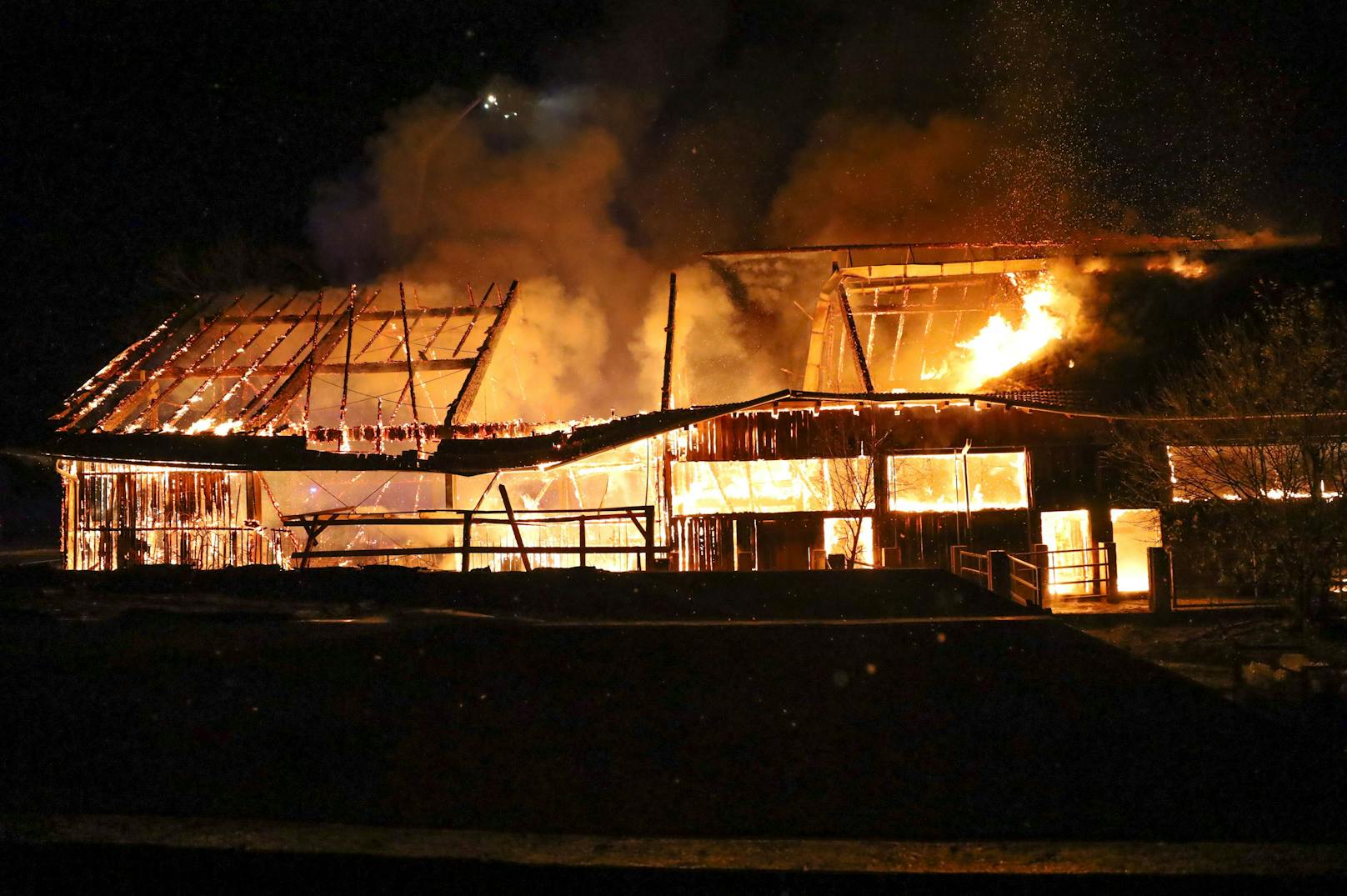 Elf Feuerwehren stehen zur Stunde bei einem Großbrand eines Stalls in Kematen an der Krems (Bezirk Linz-Land) im Einsatz. Im Stall befanden sich etwa 80 Stiere, ein Teil konnte ins Freie gebracht werden.