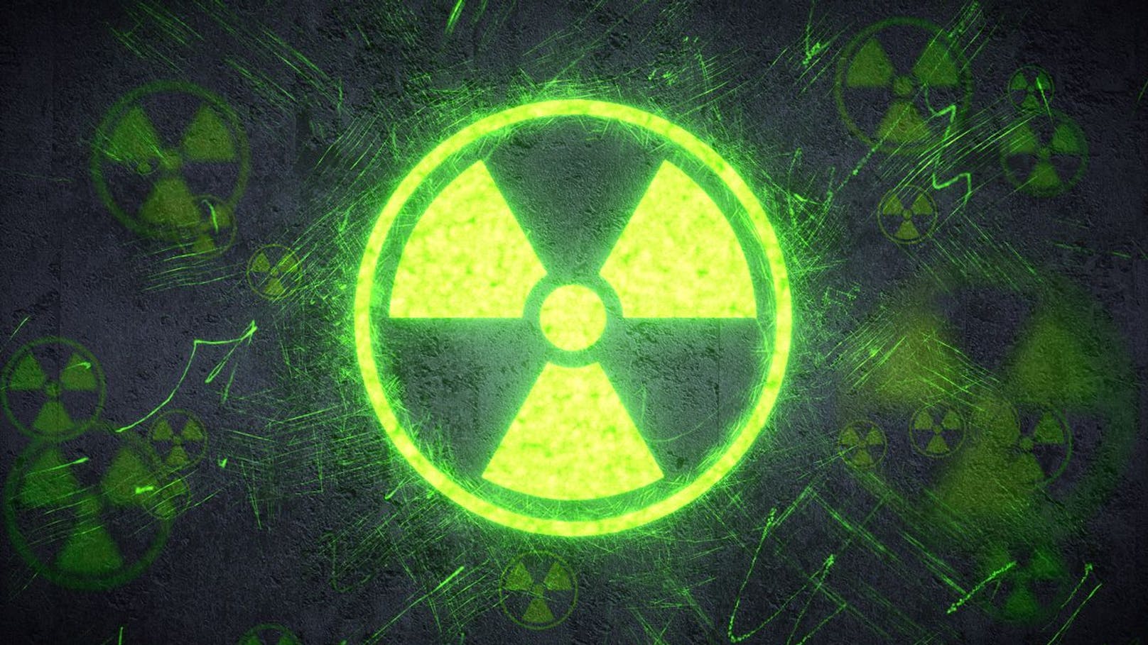 Strahlenschutz-Behörde warnt vor radioaktiven Nüssen