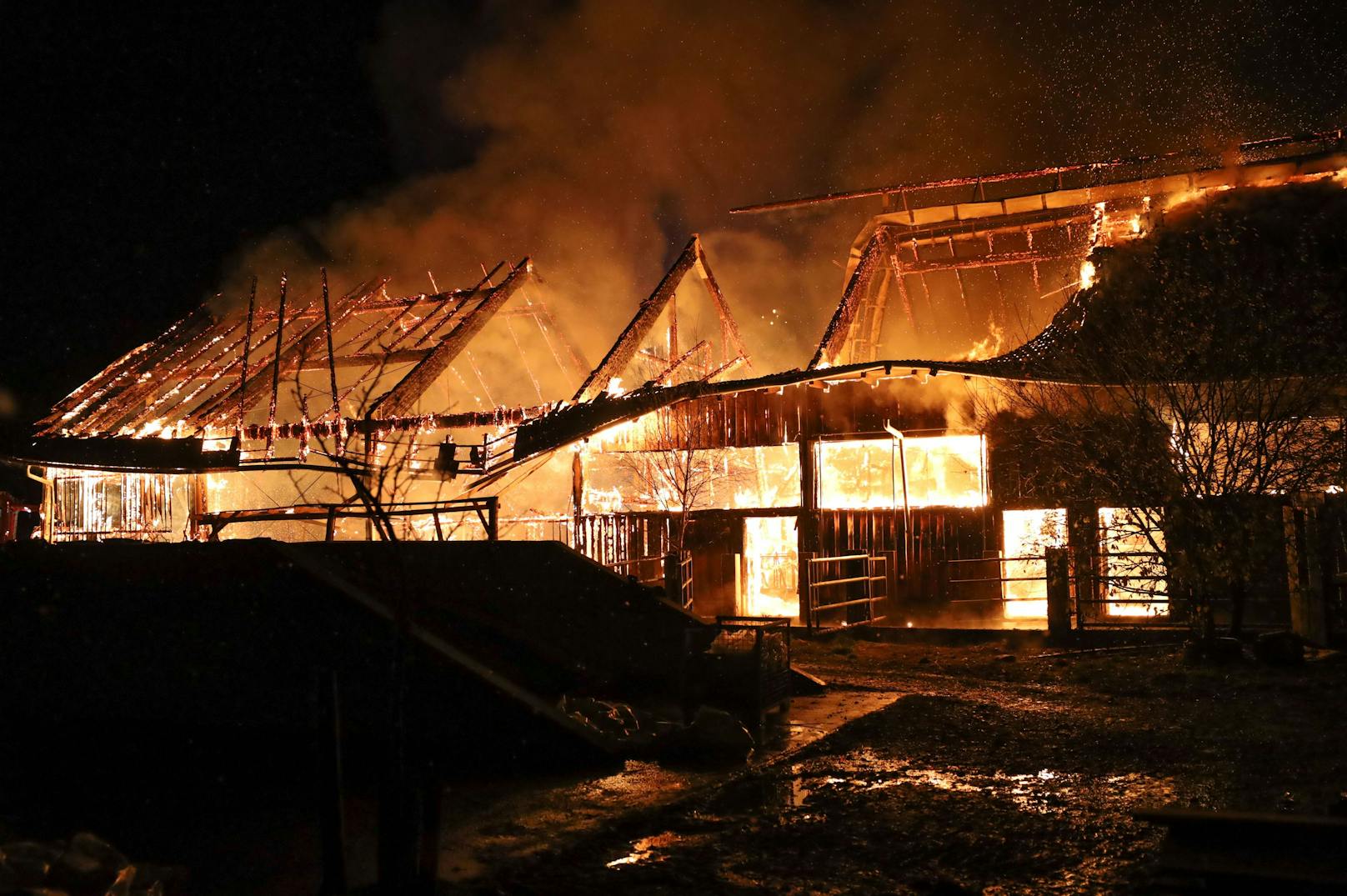 Elf Feuerwehren stehen zur Stunde bei einem Großbrand eines Stalls in Kematen an der Krems (Bezirk Linz-Land) im Einsatz. Im Stall befanden sich etwa 80 Stiere, ein Teil konnte ins Freie gebracht werden.