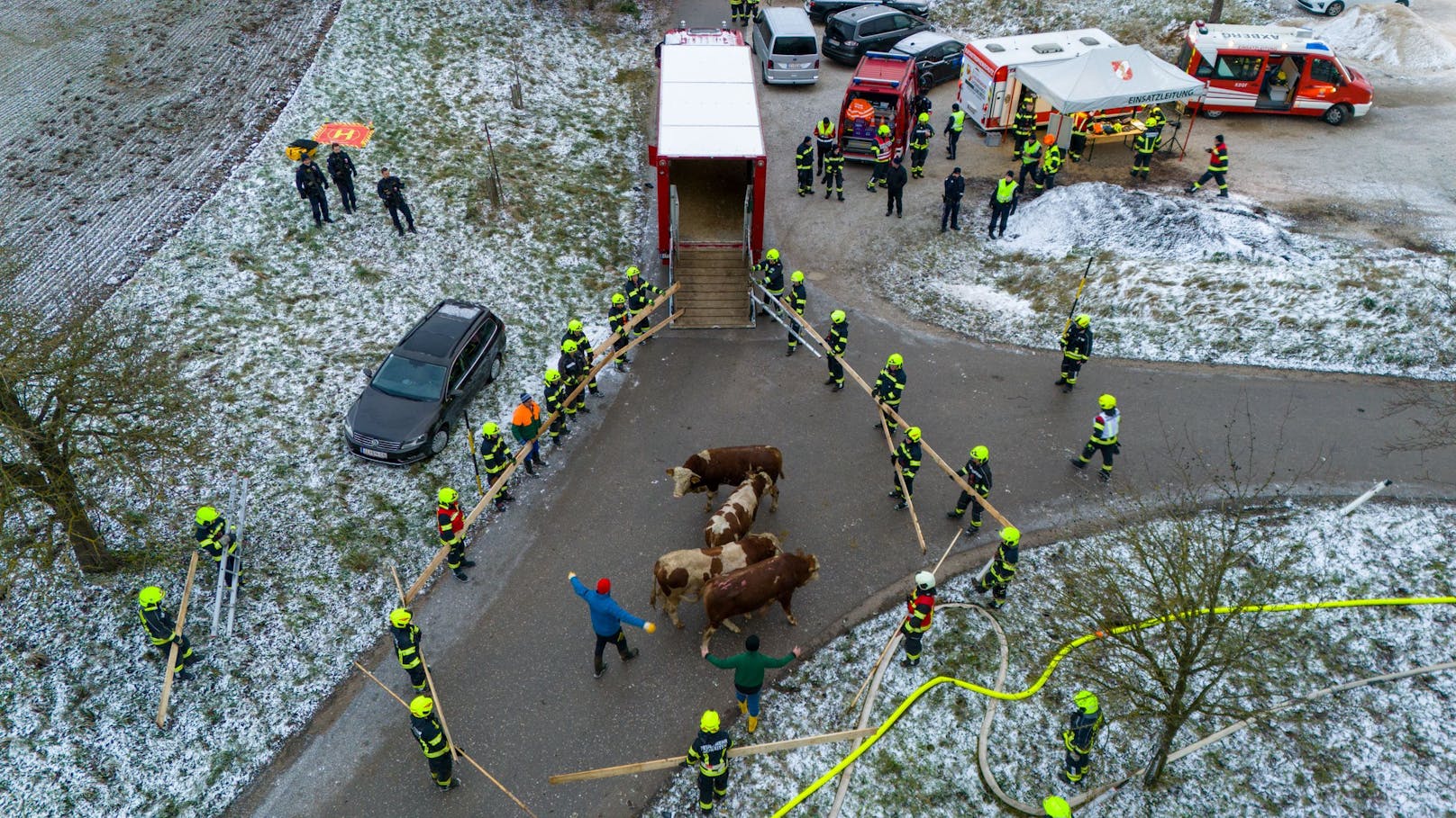 Elf Feuerwehren stehen zur Stunde bei einem Großbrand eines Stalls in Kematen an der Krems (Bezirk Linz-Land) im Einsatz. Im Stall befanden sich etwa 80 Stiere, ein Teil konnte ins Freie gebracht werden.