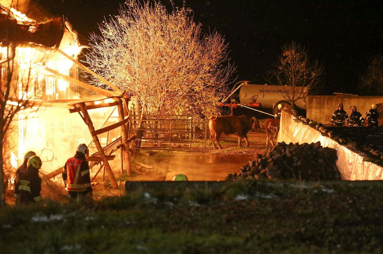 Elf Feuerwehren stehen zur Stunde bei einem Großbrand eines Stalls in Kematen an der Krems (Bezirk Linz-Land) im Einsatz. Im Stall befanden sich etwa 80 Stiere, ein Teil konnte ins Freie gebracht werden.